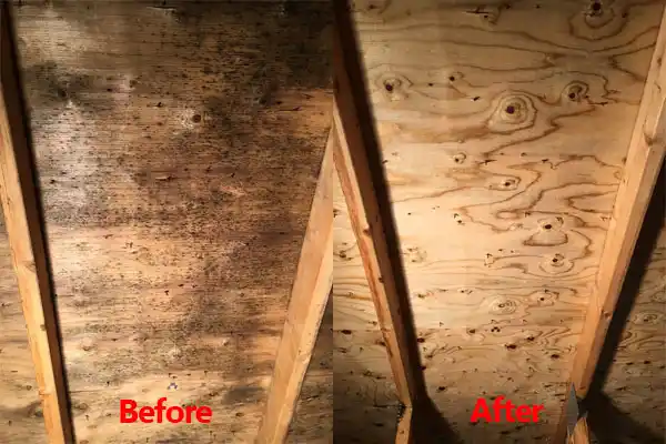 water damage restoration service Prien